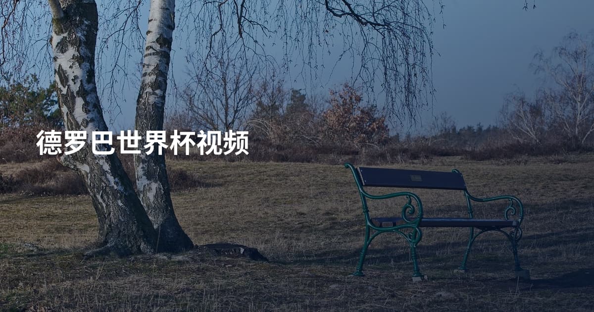 德罗巴世界杯视频
