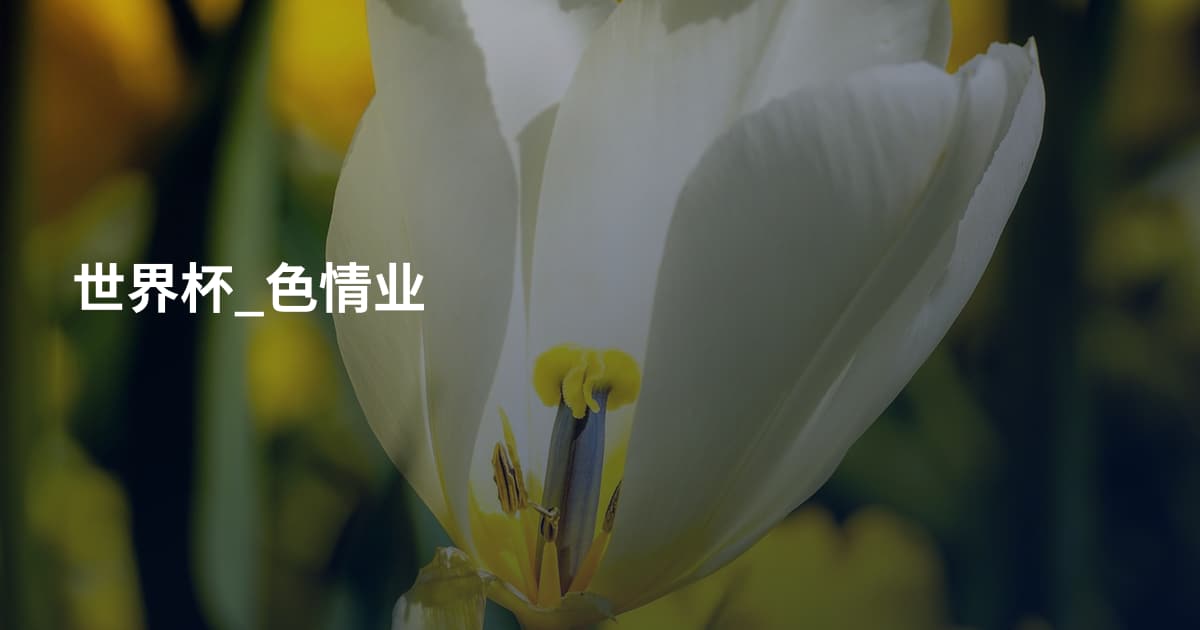 世界杯_色情业