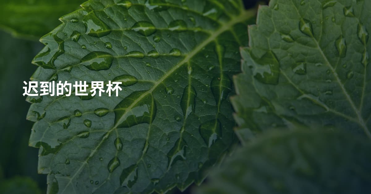 迟到的世界杯