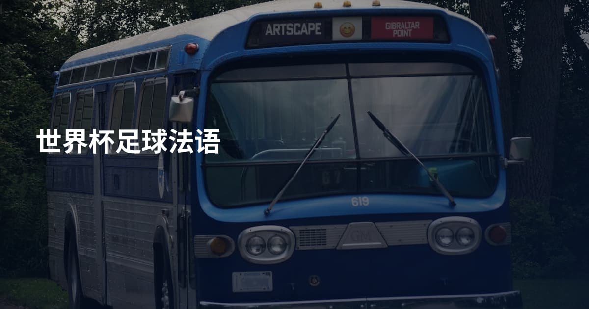 世界杯足球法语