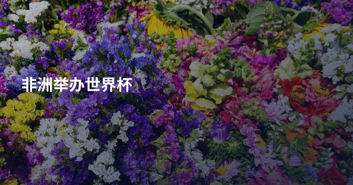 非洲举办世界杯