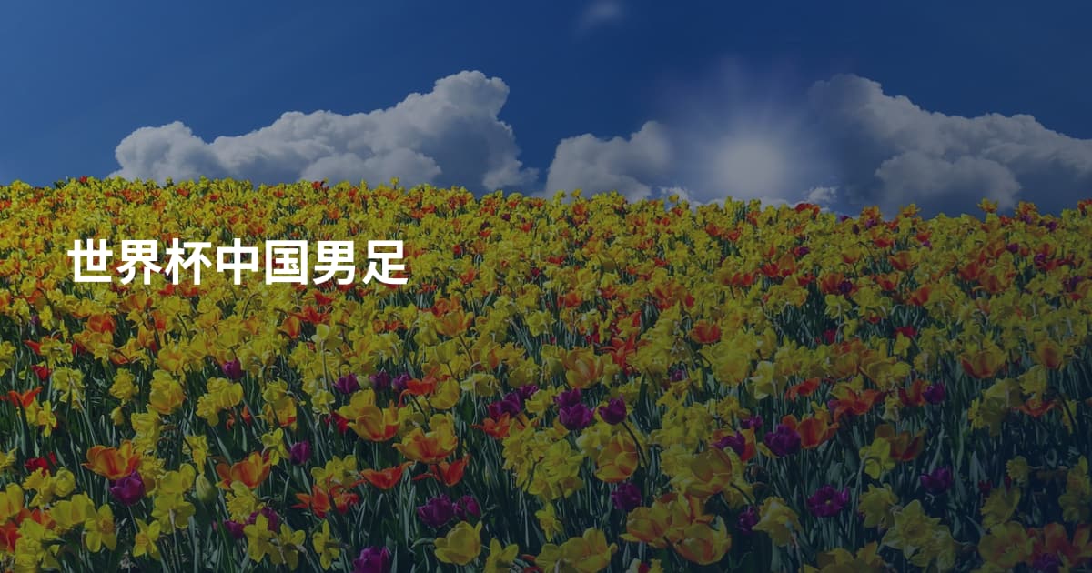 世界杯中国男足