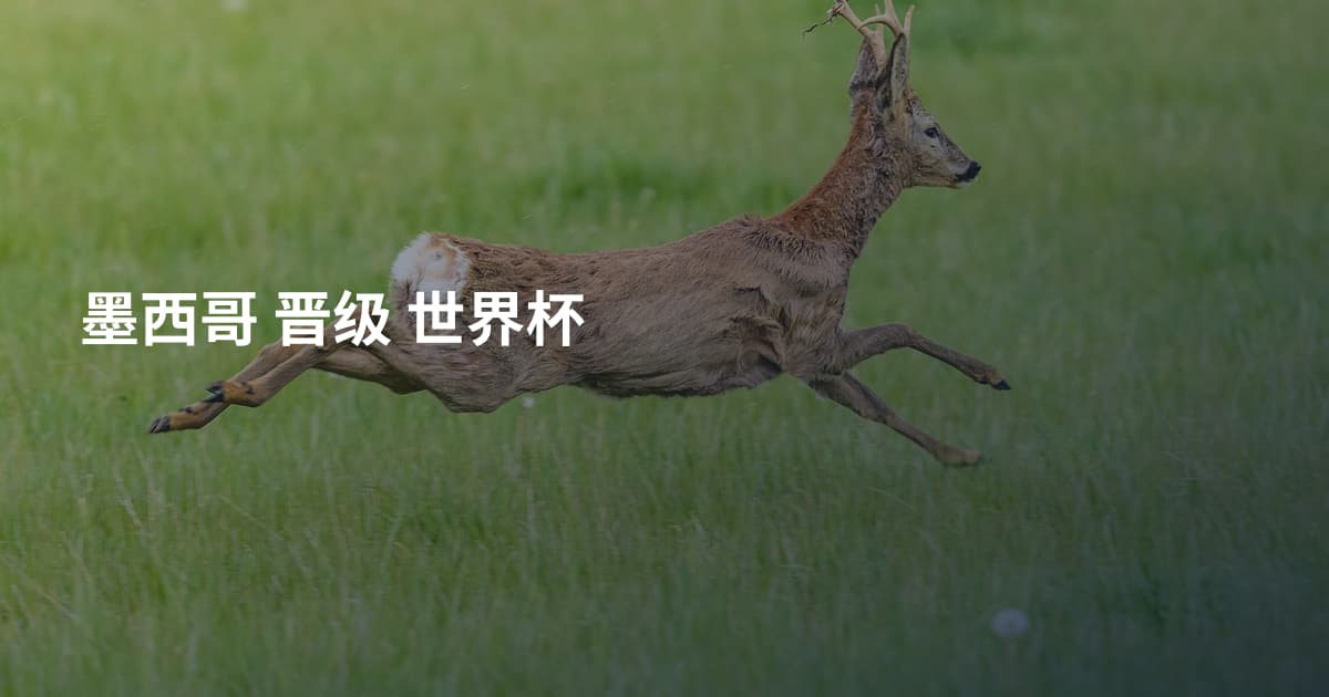 墨西哥 晋级 世界杯