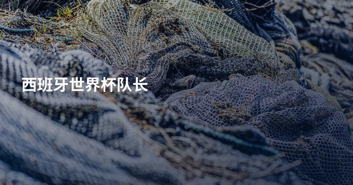 西班牙世界杯队长