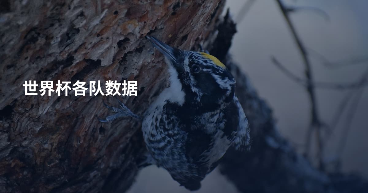 世界杯各队数据