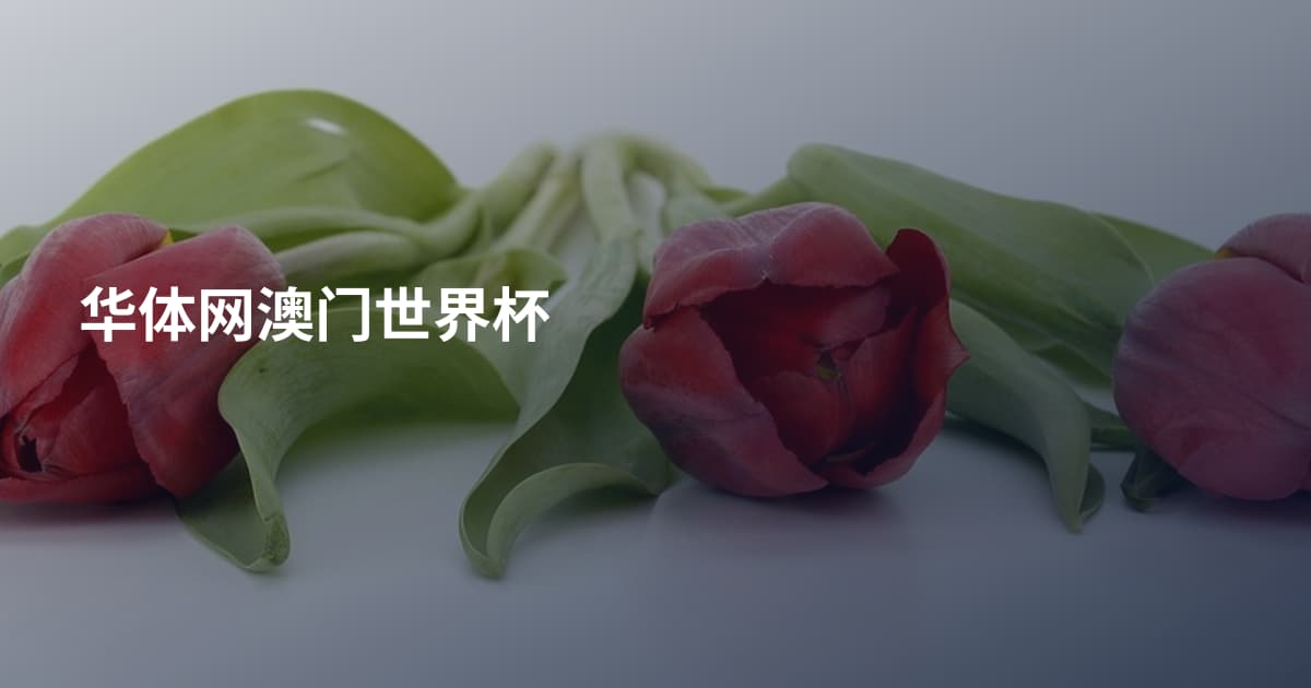 华体网澳门世界杯