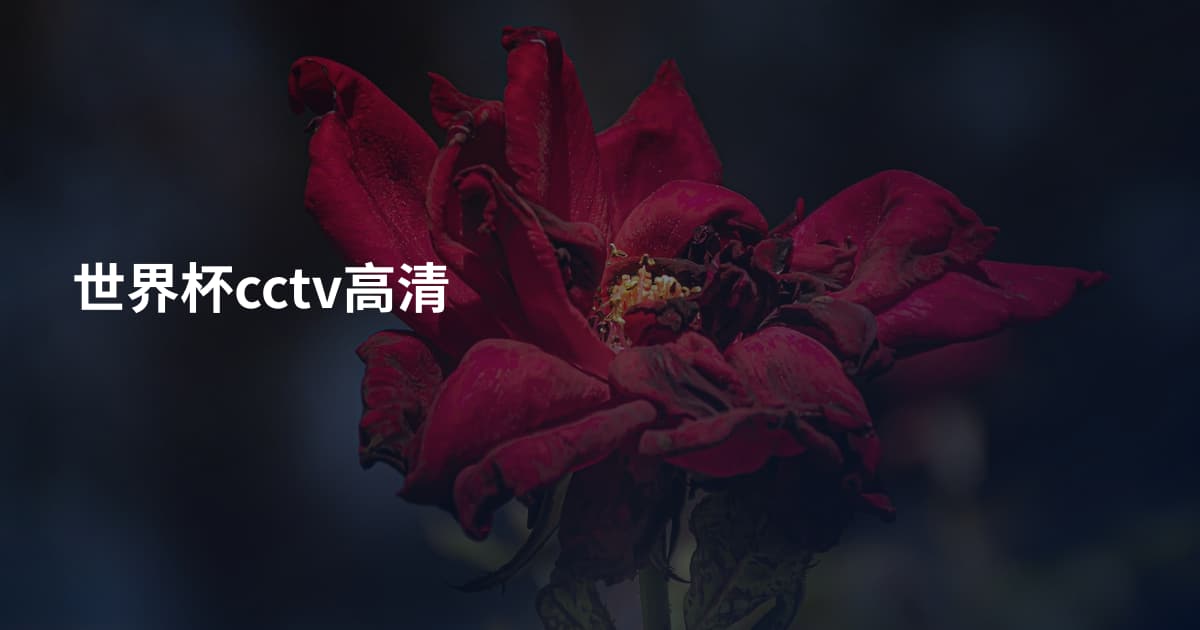 世界杯cctv高清