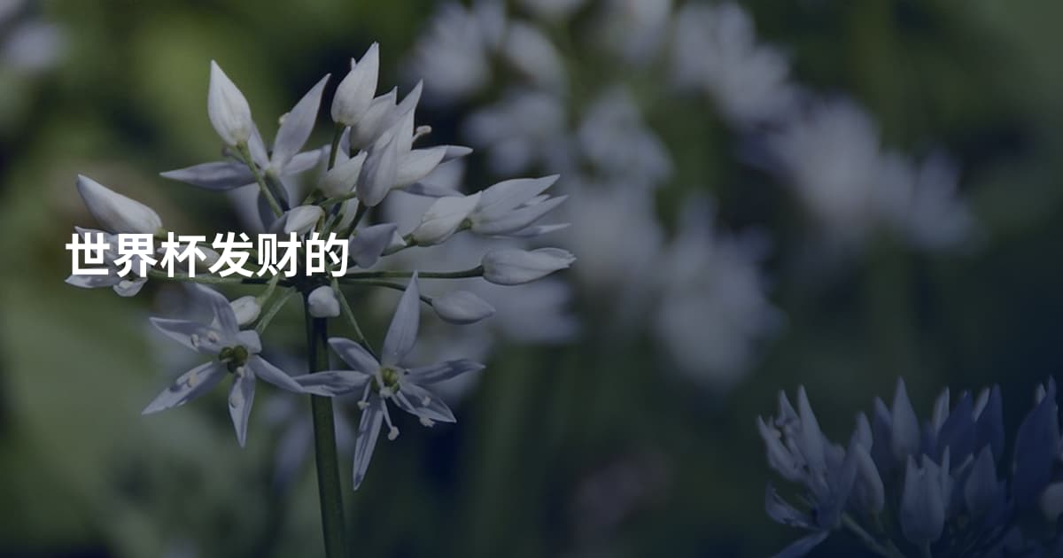 世界杯发财的