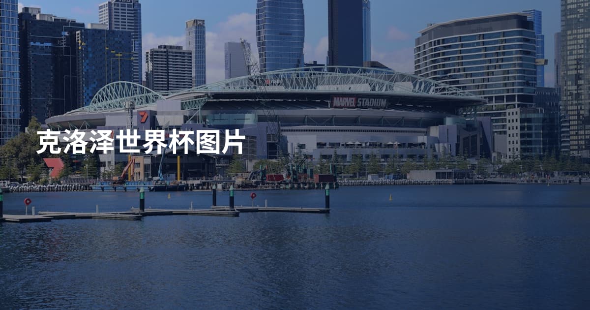 克洛泽世界杯图片