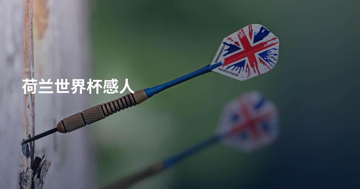 荷兰世界杯感人