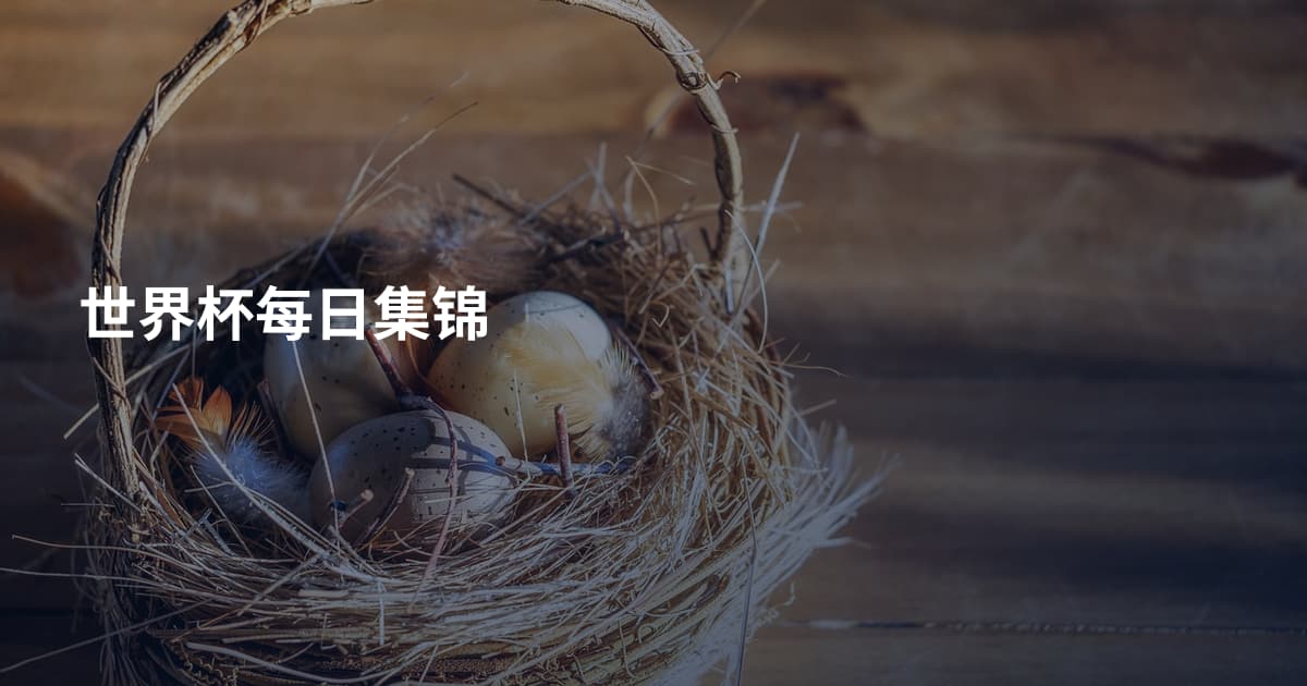 世界杯每日集锦