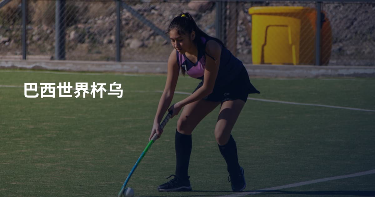 巴西世界杯乌