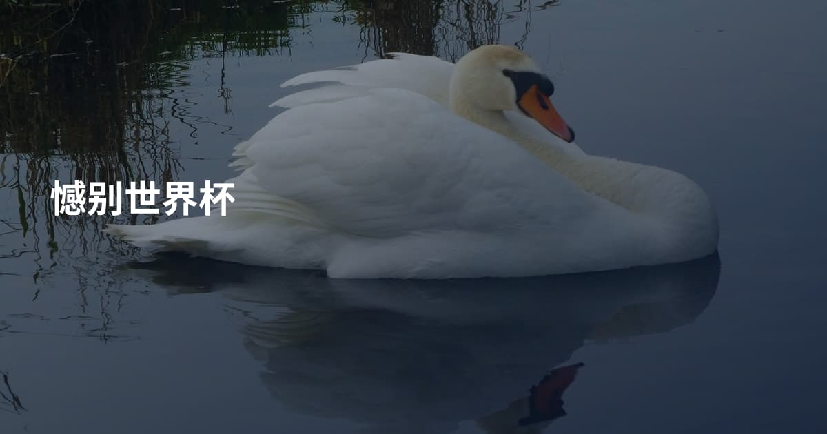 憾别世界杯