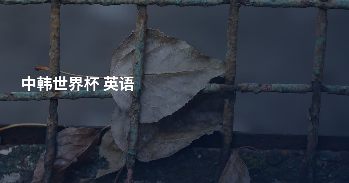 中韩世界杯 英语
