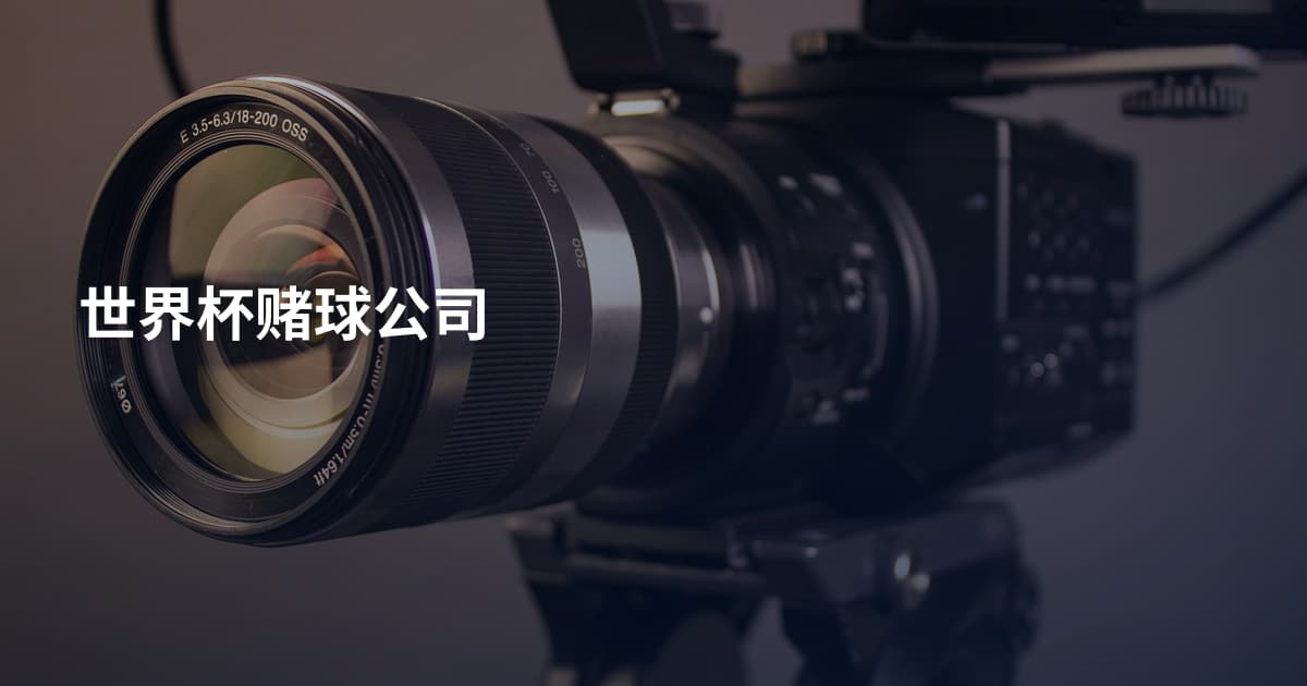 世界杯赌球公司