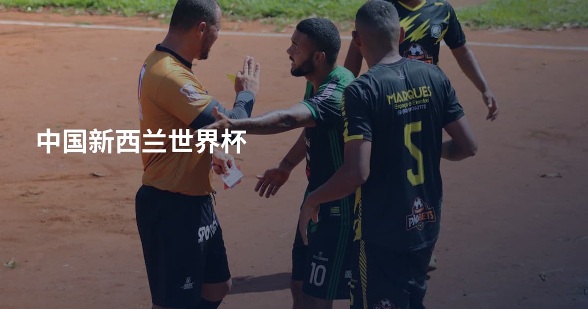 中国新西兰世界杯