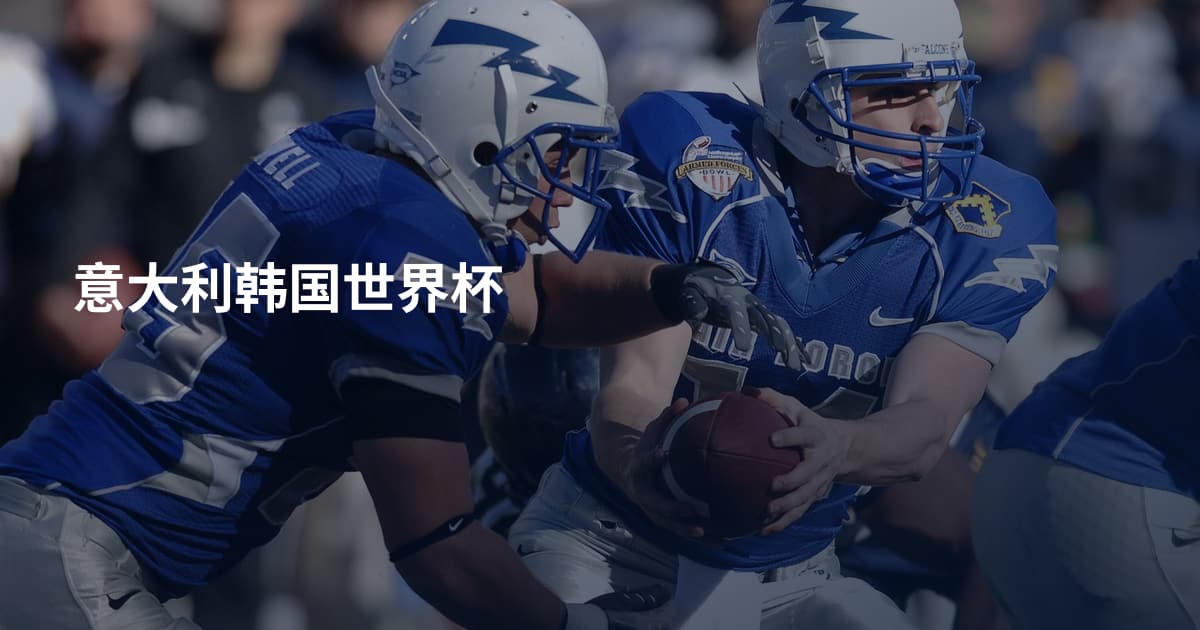 意大利韩国世界杯