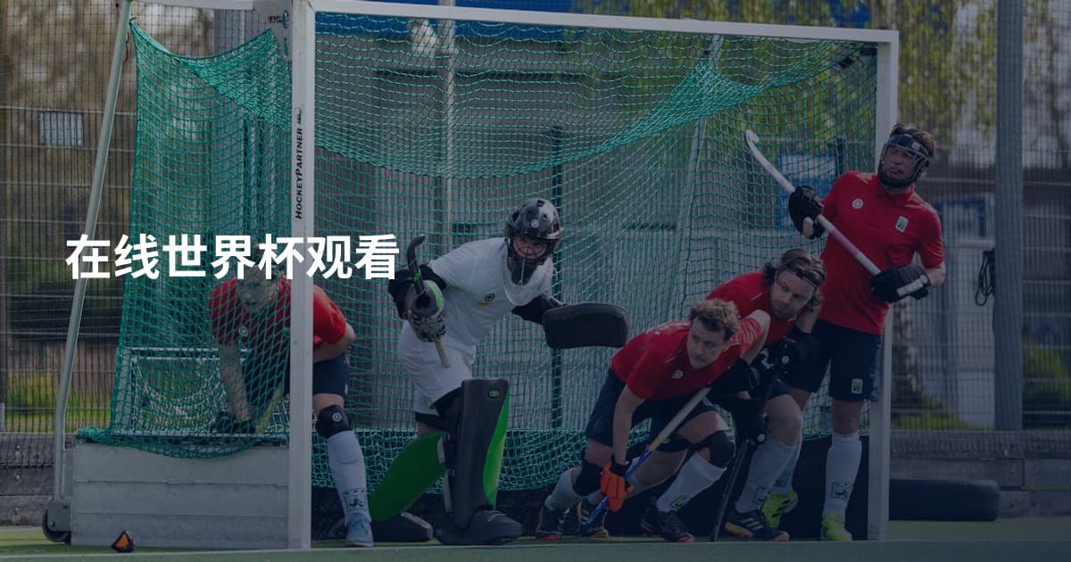 在线世界杯观看