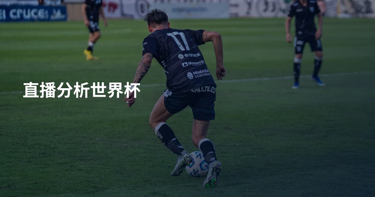直播分析世界杯
