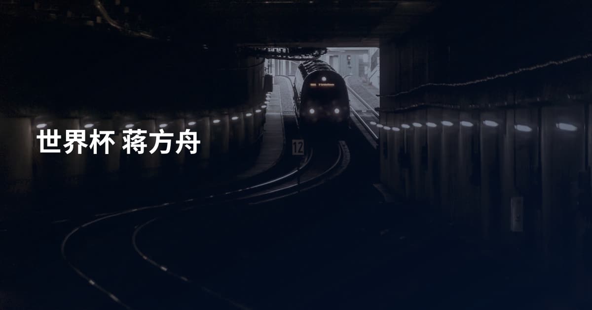 世界杯 蒋方舟