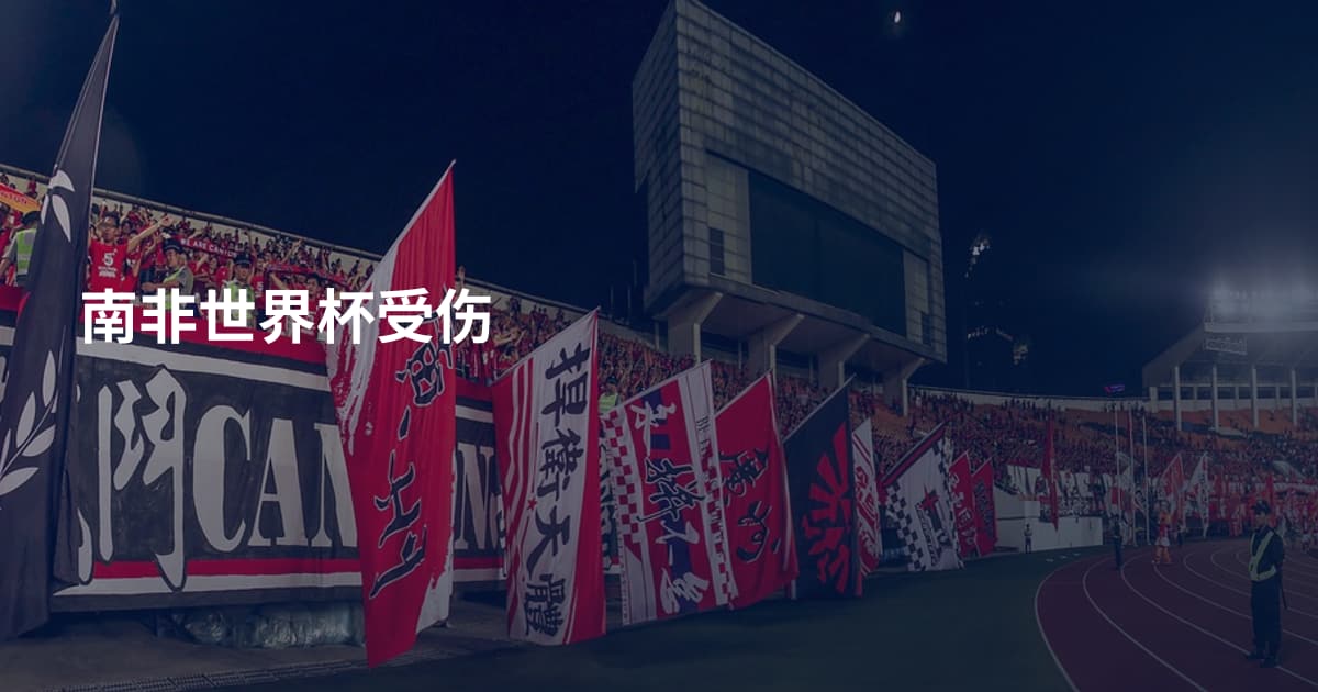 南非世界杯受伤