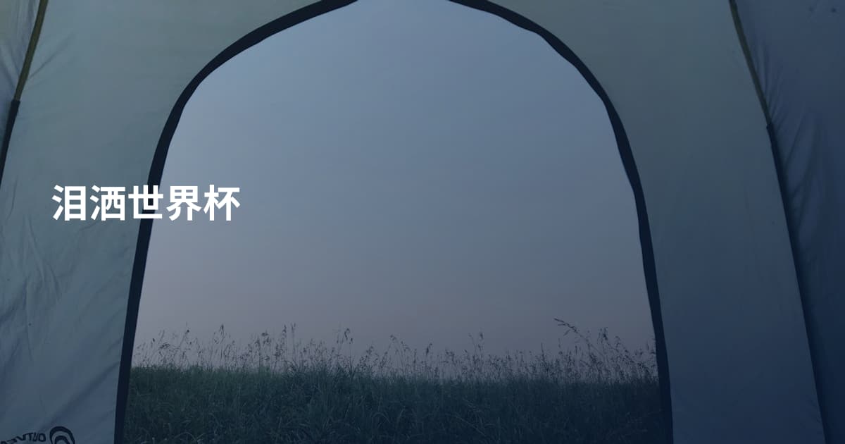 泪洒世界杯