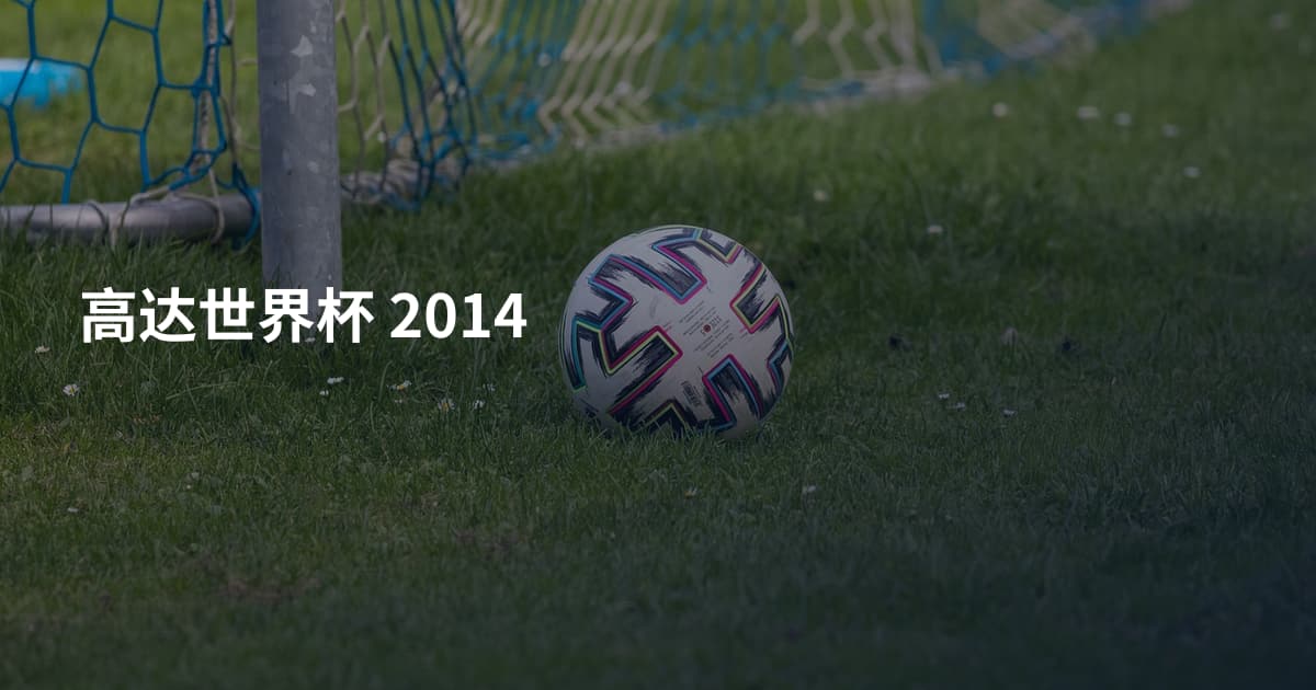 高达世界杯 2014