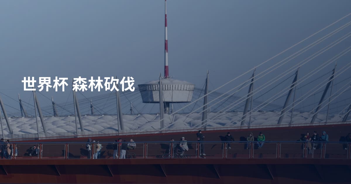 世界杯 森林砍伐