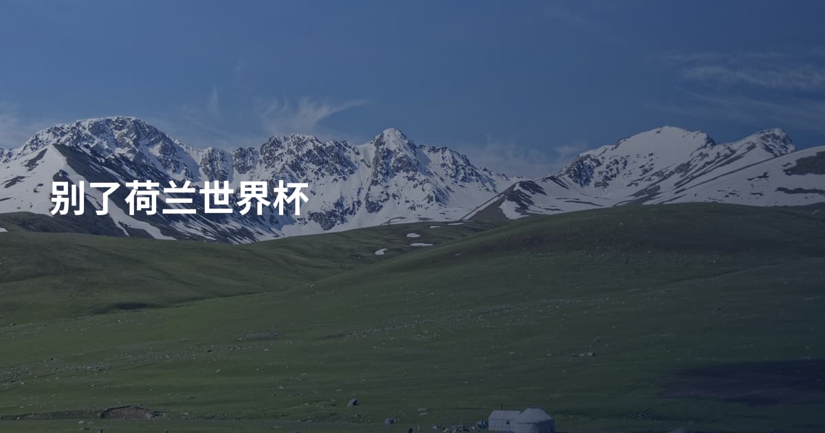 别了荷兰世界杯