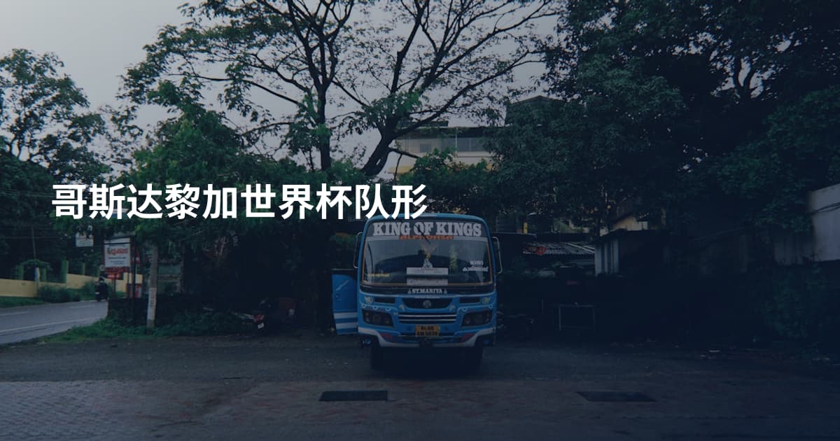 哥斯达黎加世界杯队形