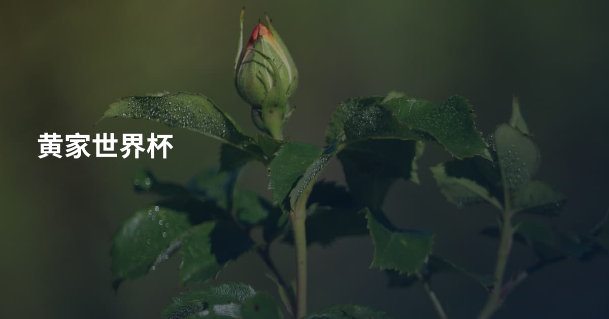 黄家世界杯