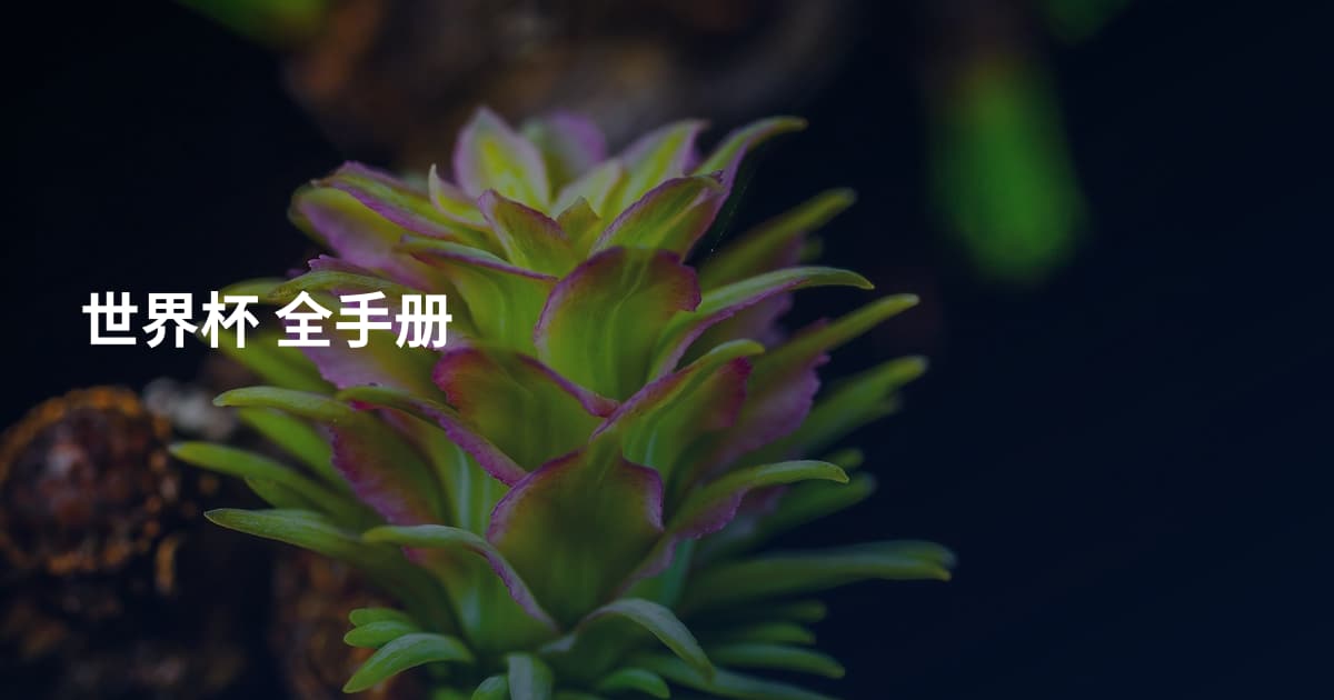世界杯 全手册