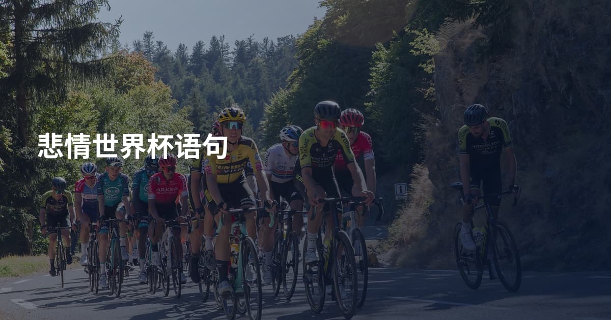 悲情世界杯语句