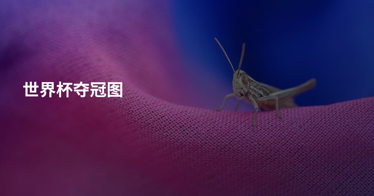 世界杯夺冠图