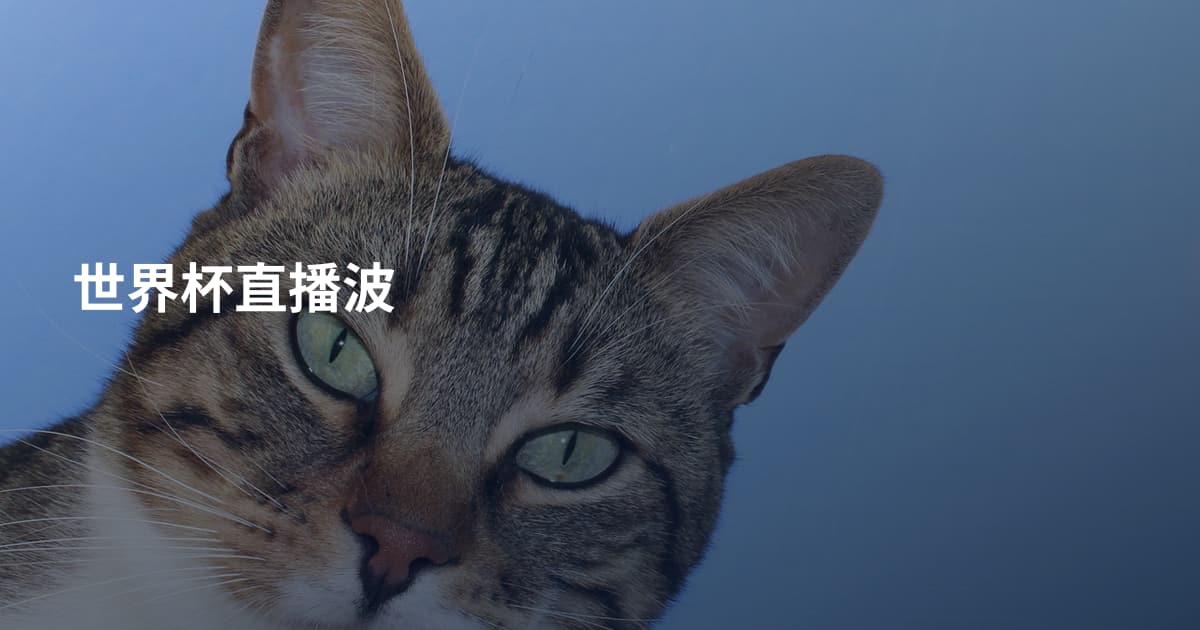 世界杯直播波