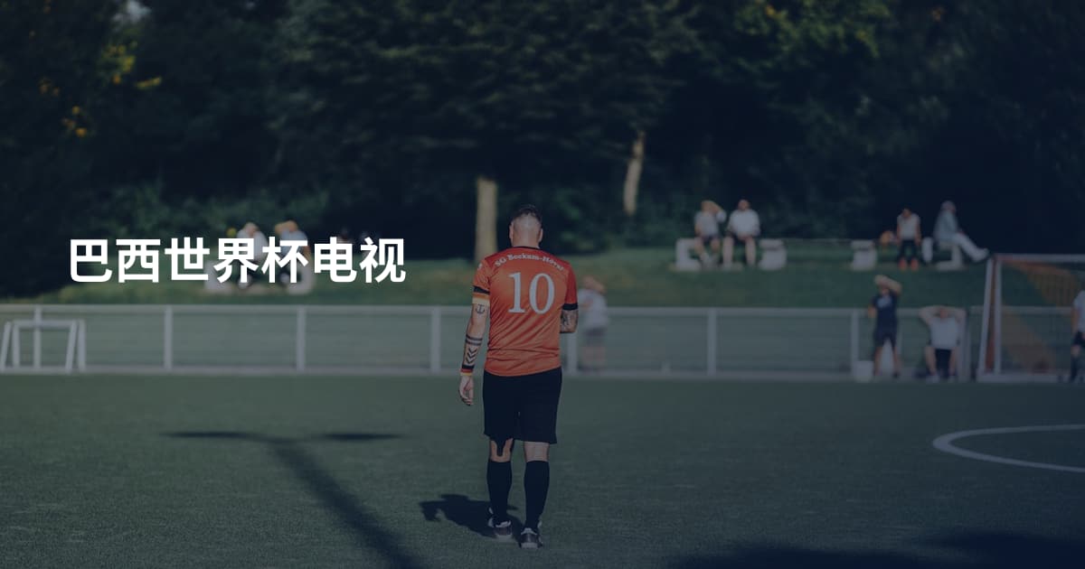 巴西世界杯电视