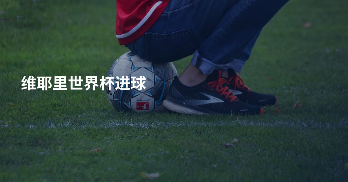 维耶里世界杯进球