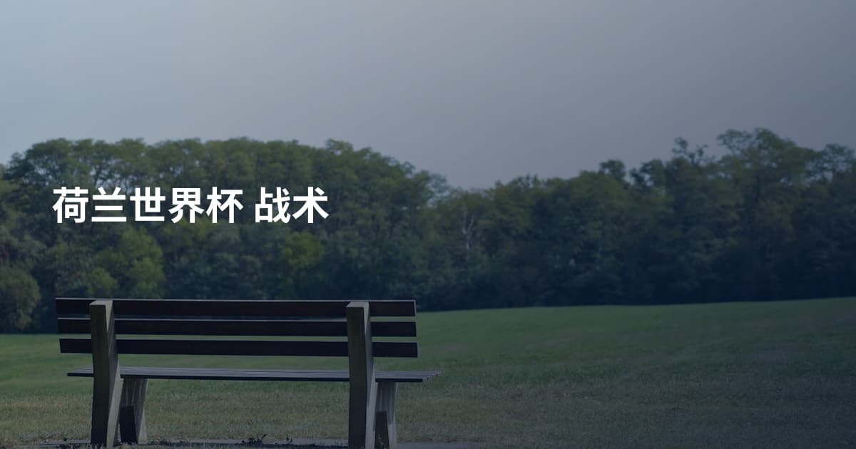 荷兰世界杯 战术