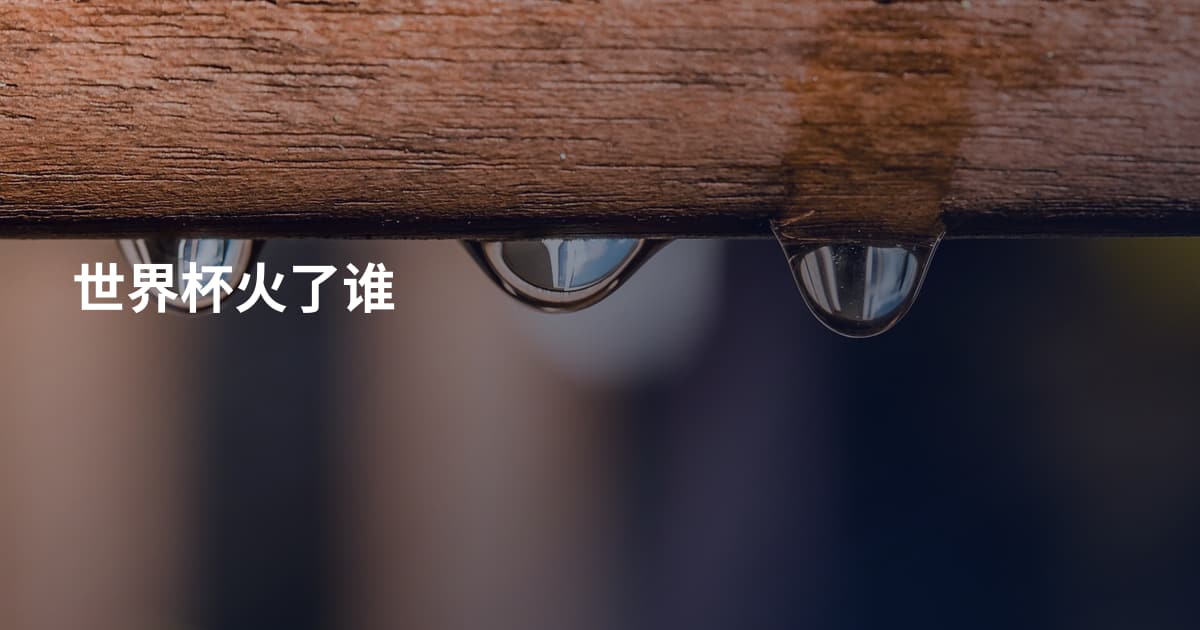 世界杯火了谁