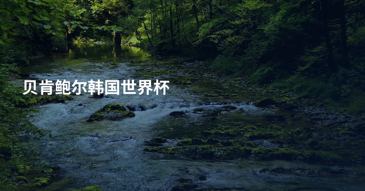 贝肯鲍尔韩国世界杯
