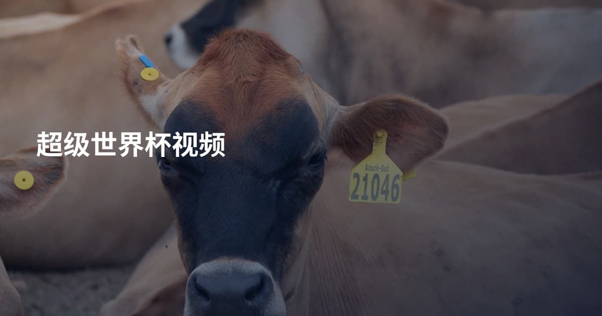 超级世界杯视频