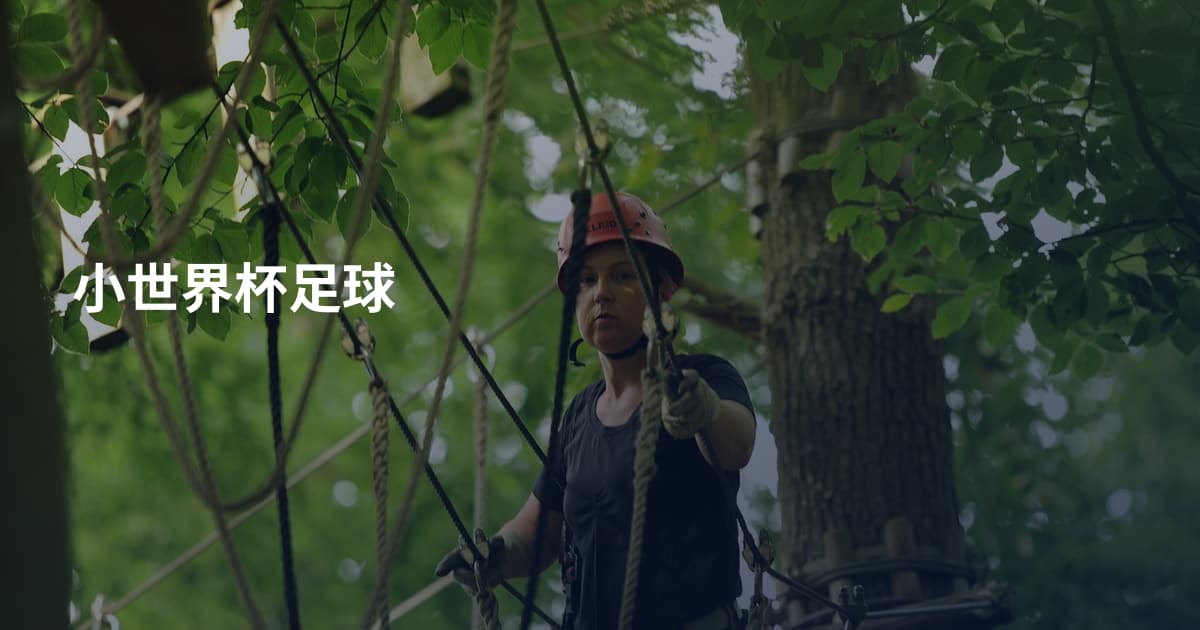 小世界杯足球