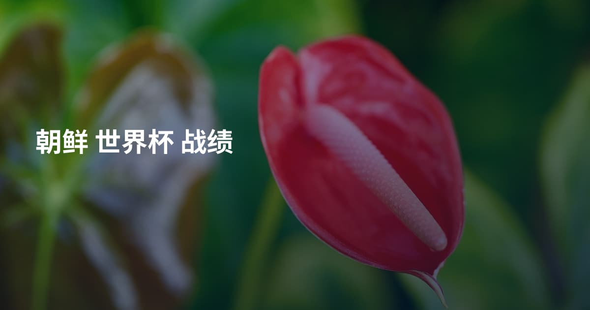 朝鲜 世界杯 战绩