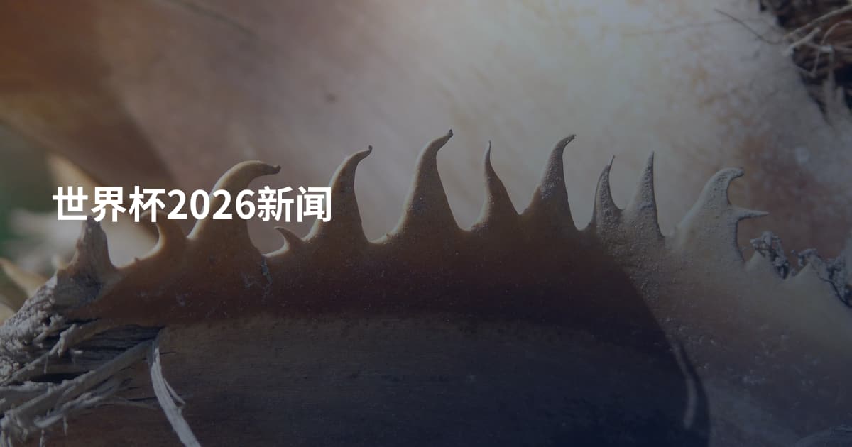 世界杯2026新闻