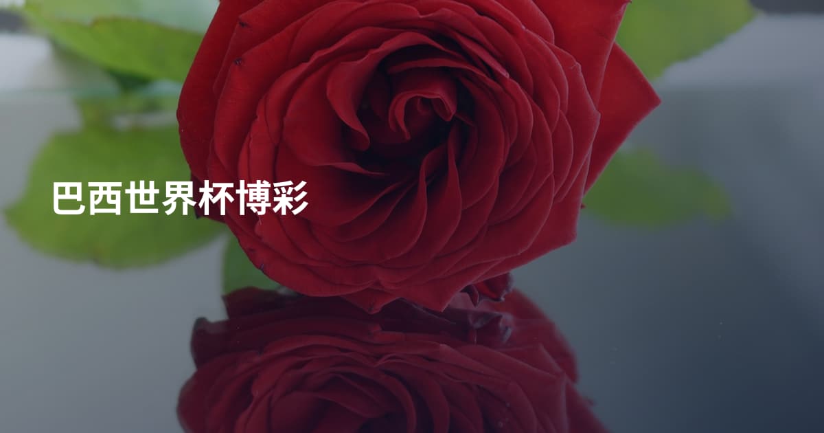 巴西世界杯博彩