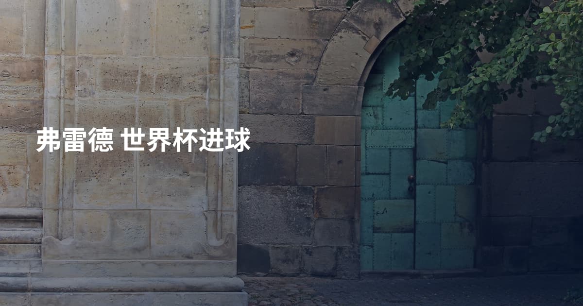 弗雷德 世界杯进球
