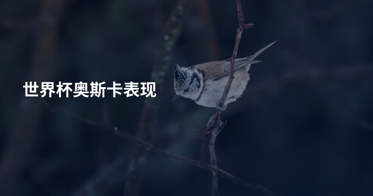 世界杯奥斯卡表现