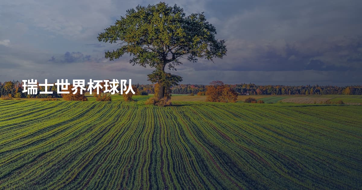 瑞士世界杯球队
