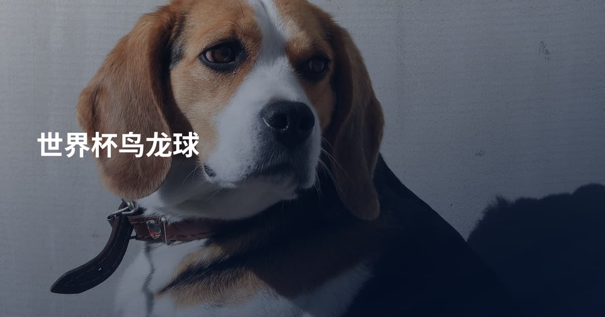 世界杯鸟龙球