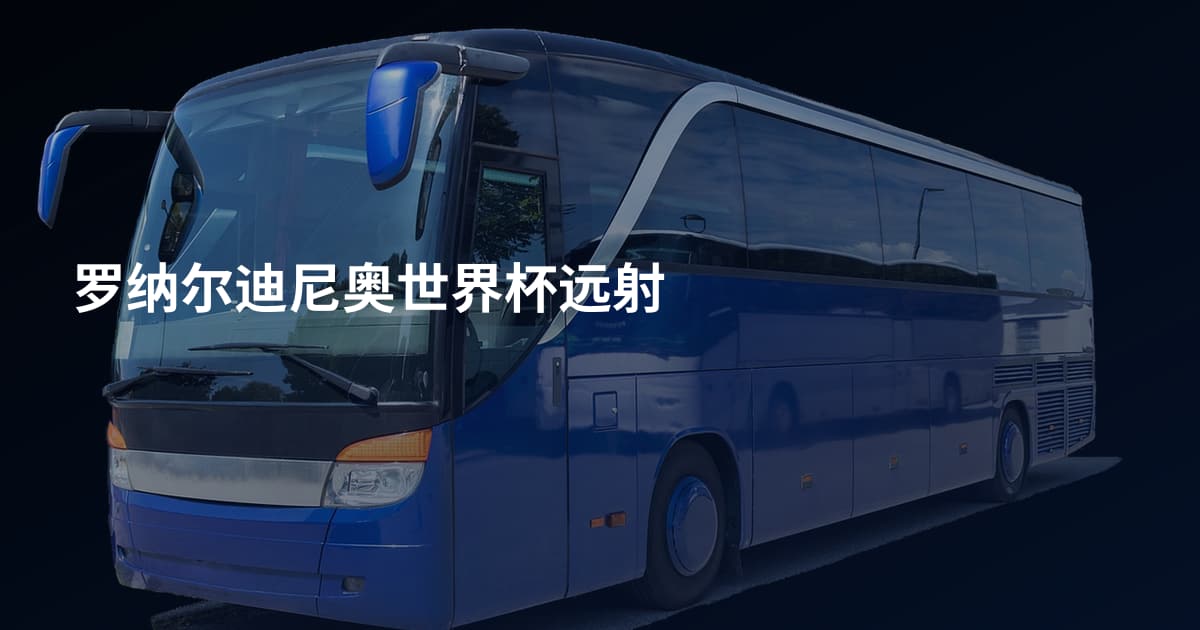 罗纳尔迪尼奥世界杯远射